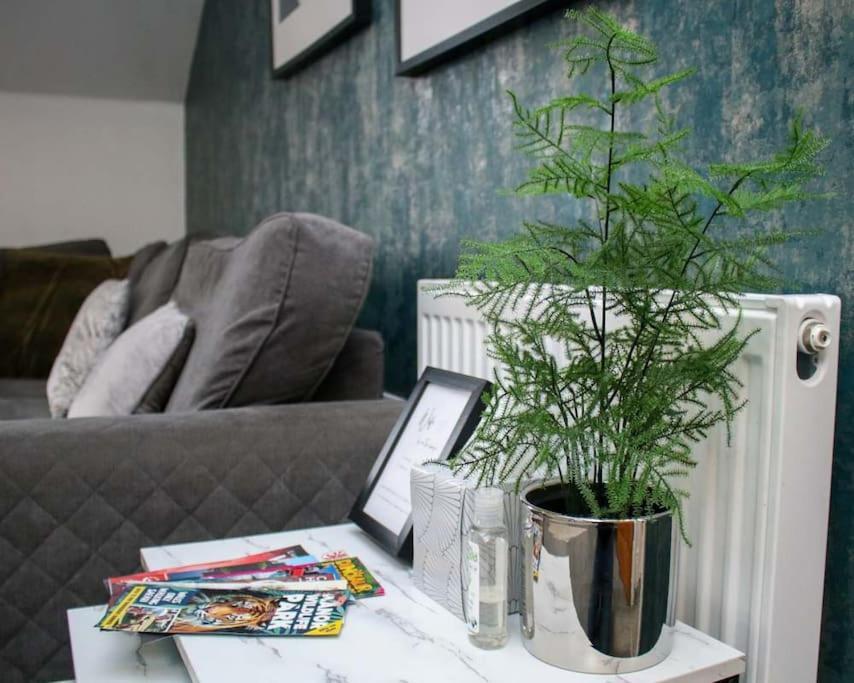 Luxe Living Guest House-Sleeps 6-Private Parking-Free Wifi-Beach-City Swansea Eksteriør billede